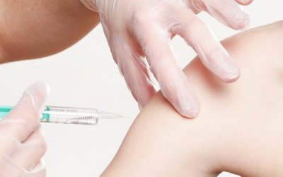 To Vaccinate or Not to Vaccinate, that is the Question